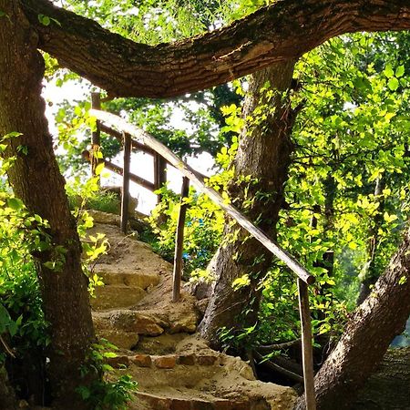 Kuca Za Odmor Ceif Villa Dropci Exterior foto