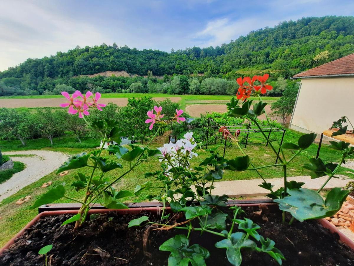 Kuca Za Odmor Ceif Villa Dropci Exterior foto
