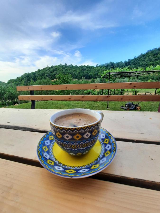 Kuca Za Odmor Ceif Villa Dropci Exterior foto